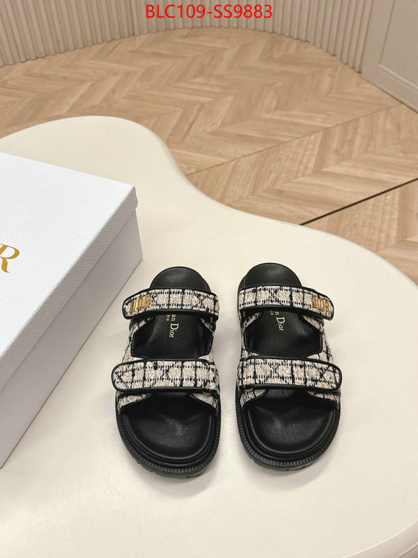 Women Shoes-Dior for sale online ID: SS9883 $: 109USD