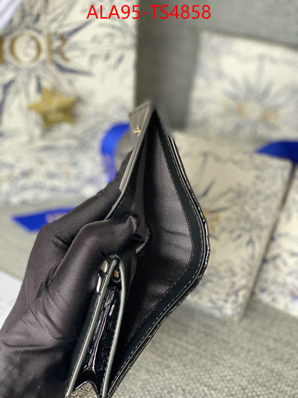 ID: TS4858 $: 95USD,