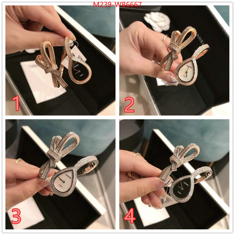 ID: WB6667