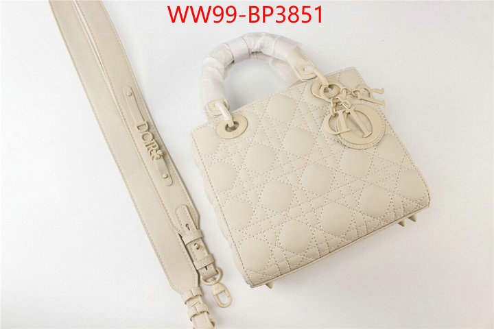ID: BP3851 $: 99USD,