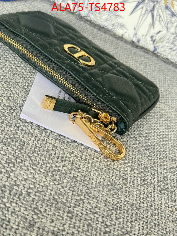 ID: TS4783 $: 75USD,