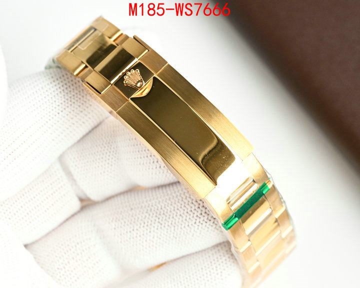 ID: WS7666