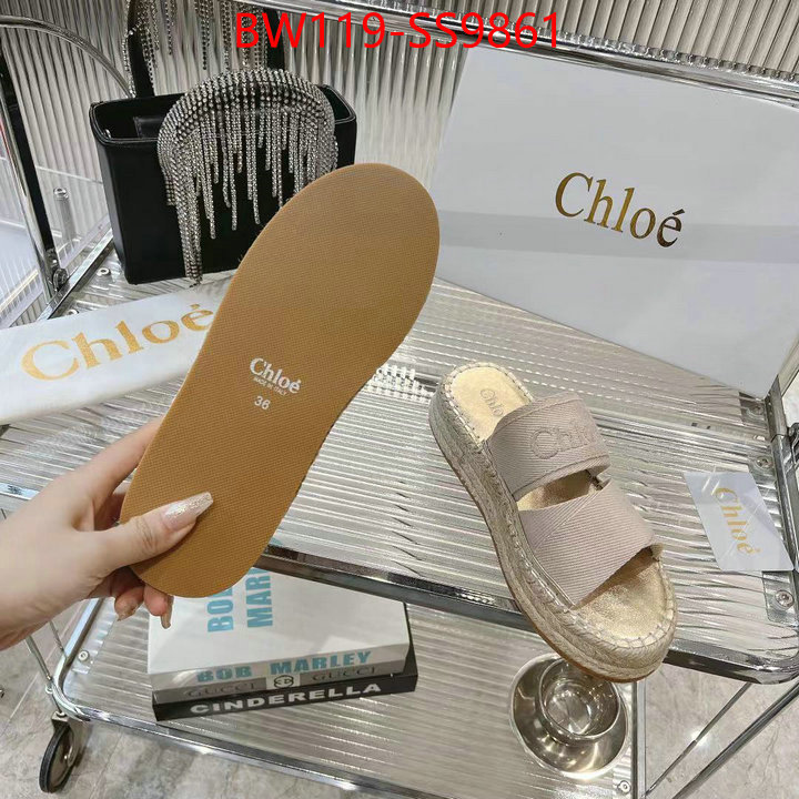 Women Shoes-Chloe high quality replica designer ID: SS9861 $: 119USD