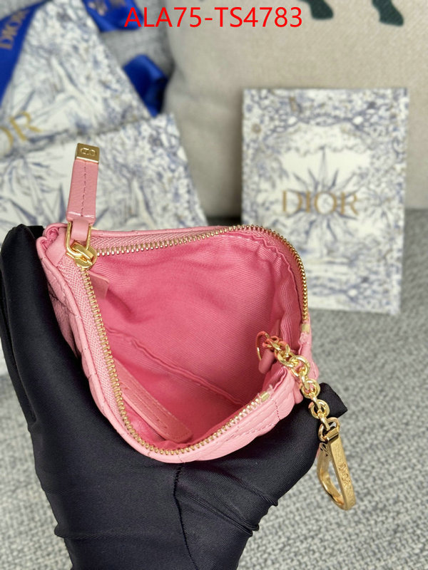 ID: TS4783 $: 75USD,
