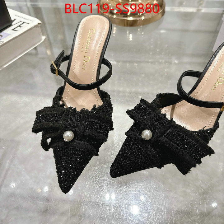 Women Shoes-Dior store ID: SS9880 $: 119USD