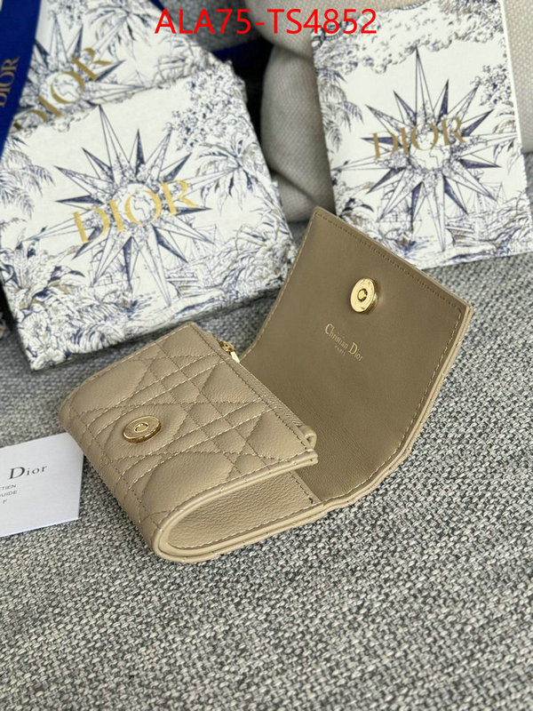 ID: TS4852 $: 75USD,