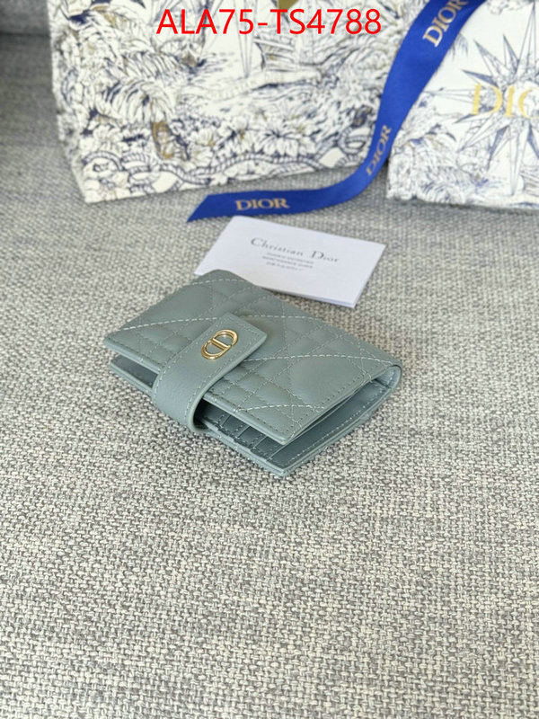 ID: TS4788 $: 75USD,