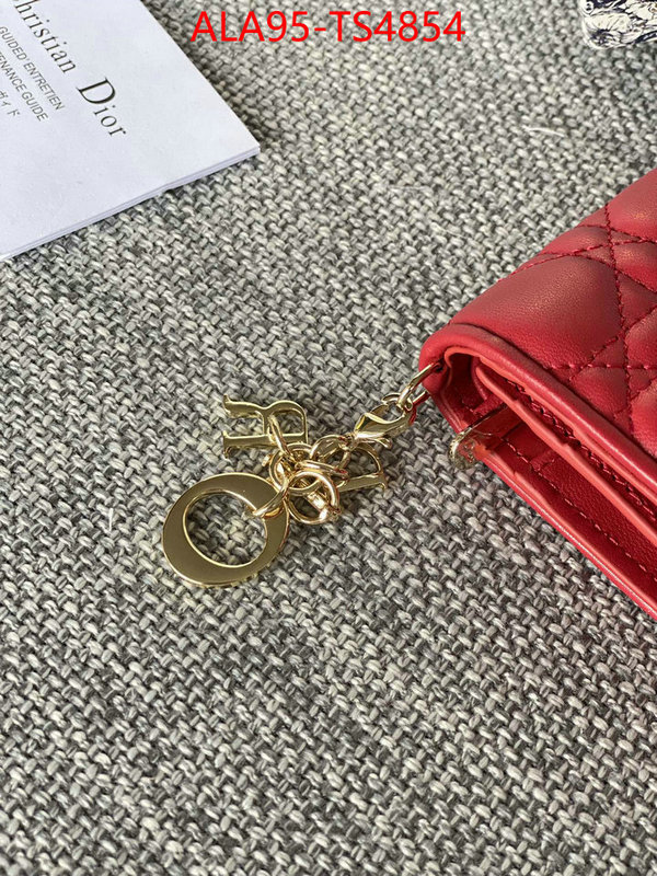 ID: TS4854 $: 95USD,