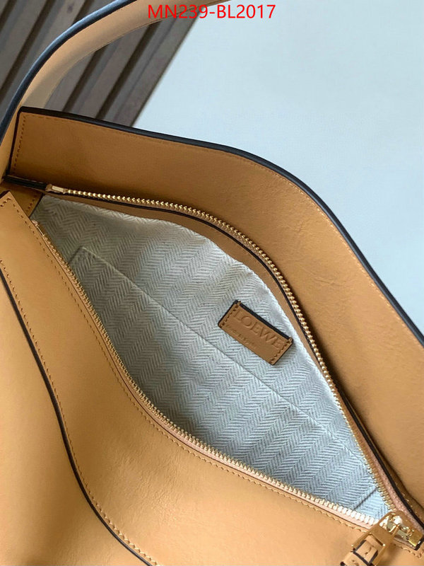 Loewe Bags(TOP)-Handbag- ID: BL2017 $: 239USD,