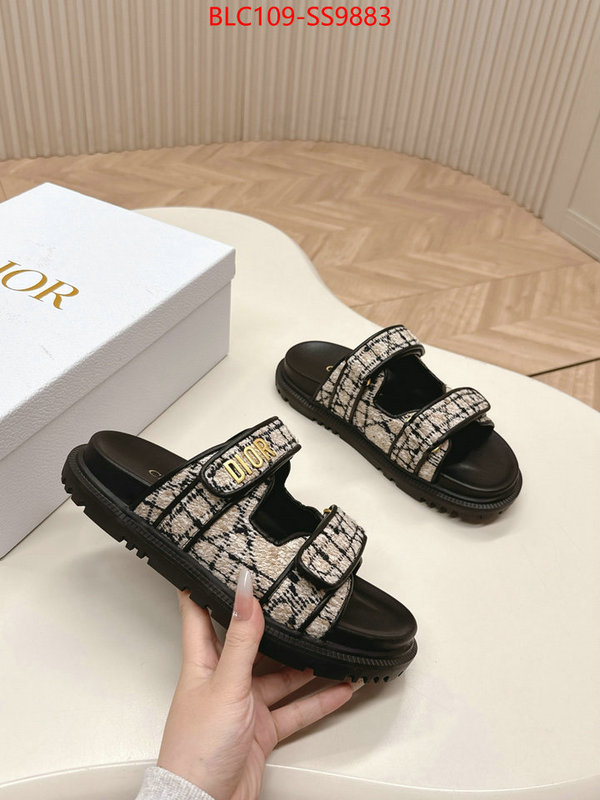 Women Shoes-Dior for sale online ID: SS9883 $: 109USD