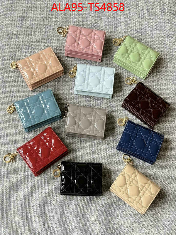ID: TS4858 $: 95USD,