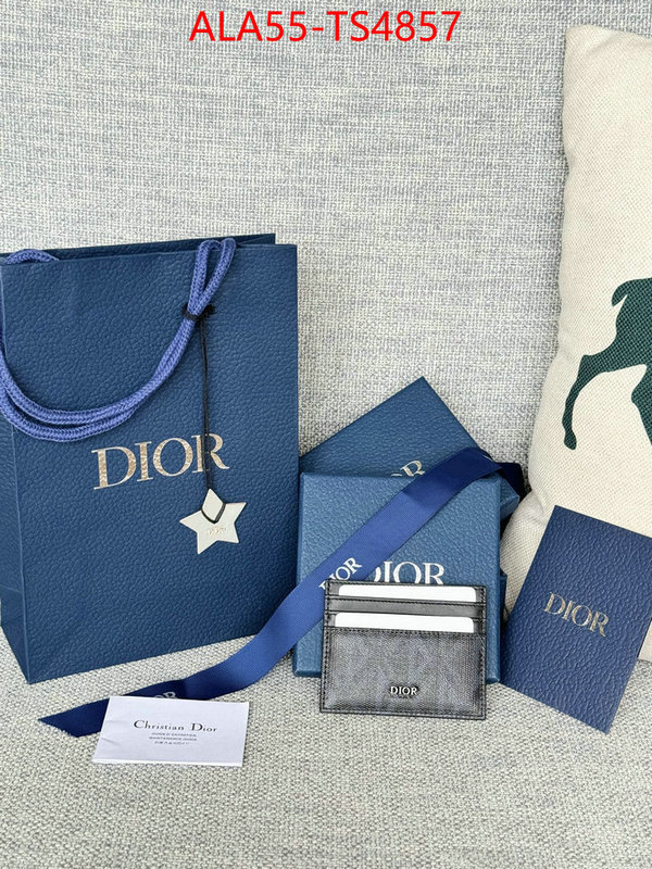 ID: TS4857 $: 55USD,