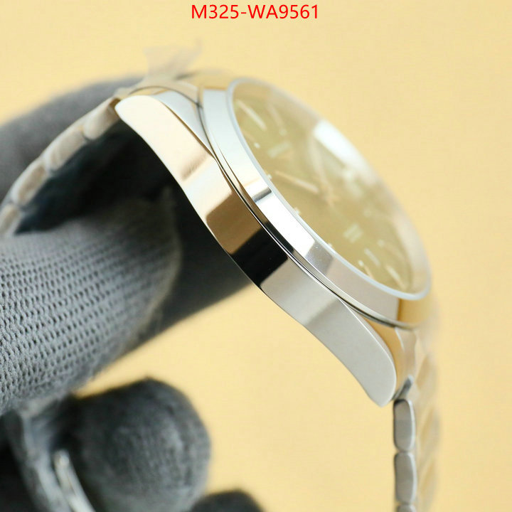 ID: WA9561