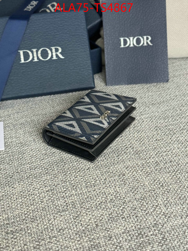 ID: TS4867 $: 75USD,