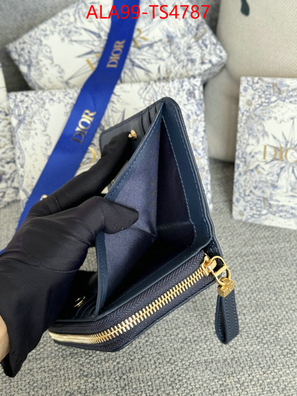 ID: TS4787 $: 99USD,