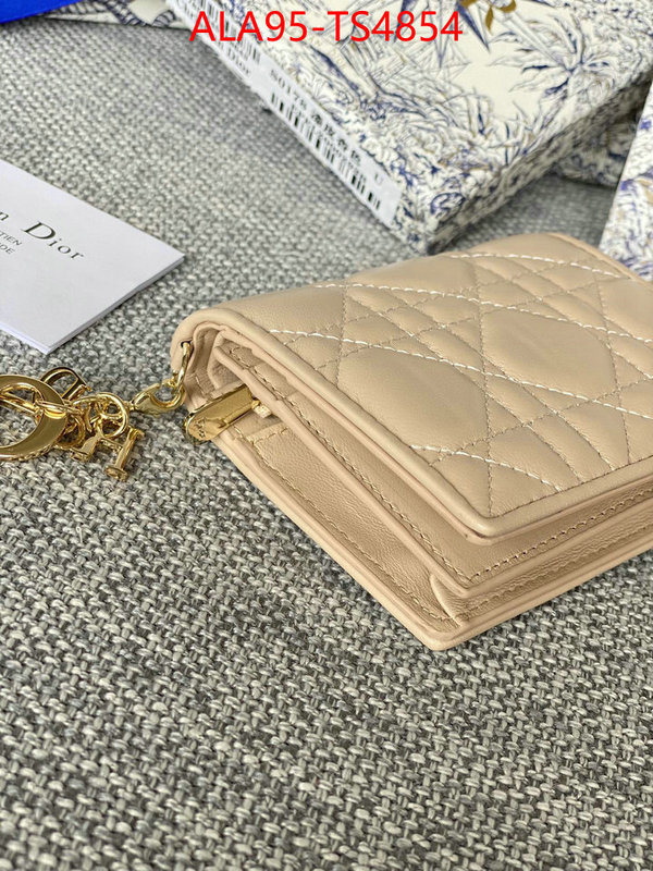 ID: TS4854 $: 95USD,