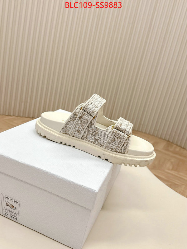 Women Shoes-Dior for sale online ID: SS9883 $: 109USD