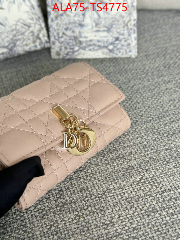 ID: TS4775 $: 75USD,