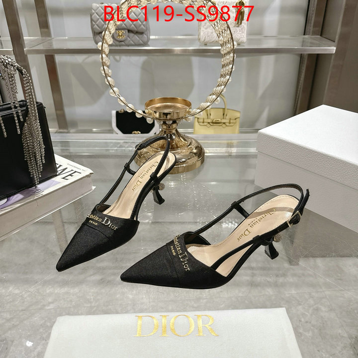 Women Shoes-Dior shop the best high authentic quality replica ID: SS9877 $: 119USD-shoes yupoo Women Shoes-Dior shop the best high authentic quality replica ID: SS9877 $: 119USD