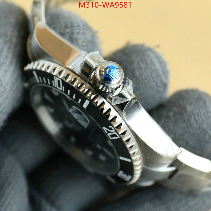 ID: WA9581