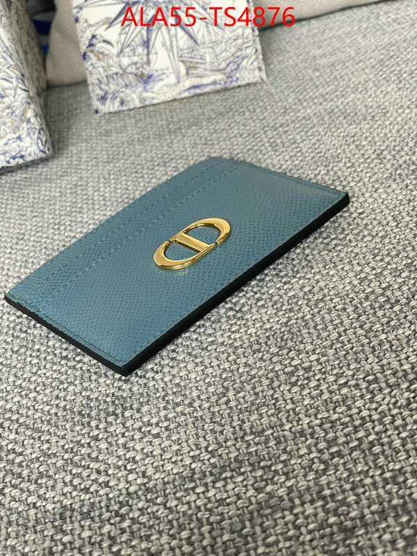 ID: TS4876 $: 55USD,