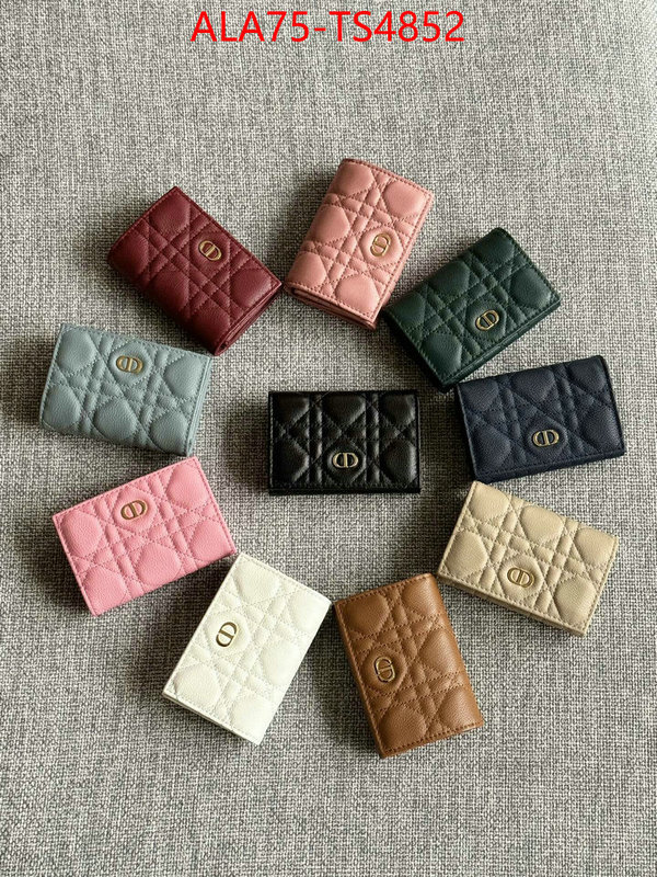 ID: TS4852 $: 75USD,