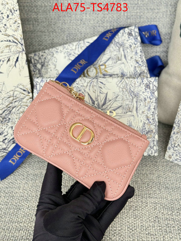 ID: TS4783 $: 75USD,