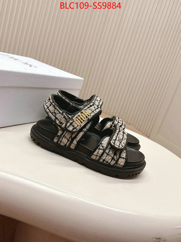 Women Shoes-Dior wholesale 2024 replica ID: SS9884 $: 109USD