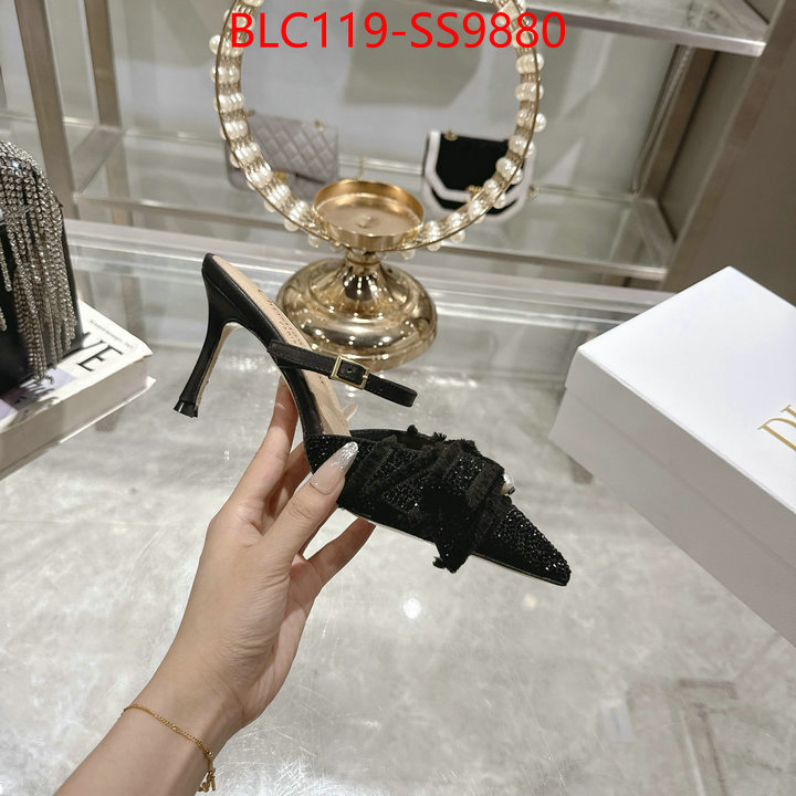 Women Shoes-Dior store ID: SS9880 $: 119USD