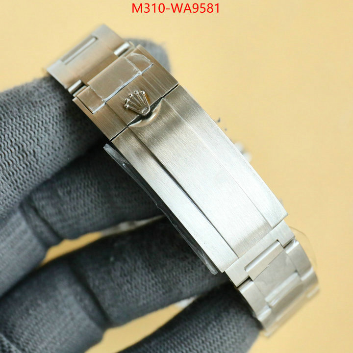 ID: WA9581