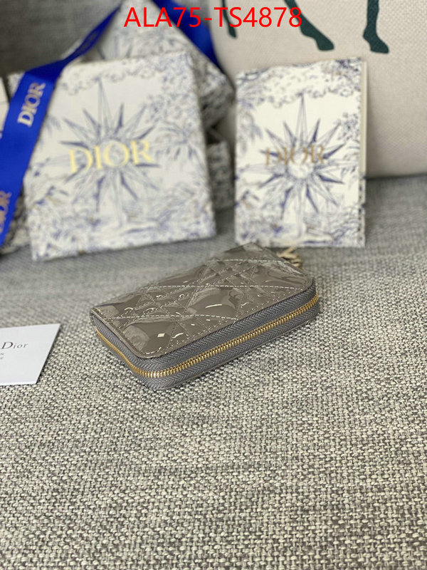 ID: TS4878 $: 75USD,