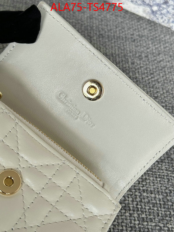 ID: TS4775 $: 75USD,