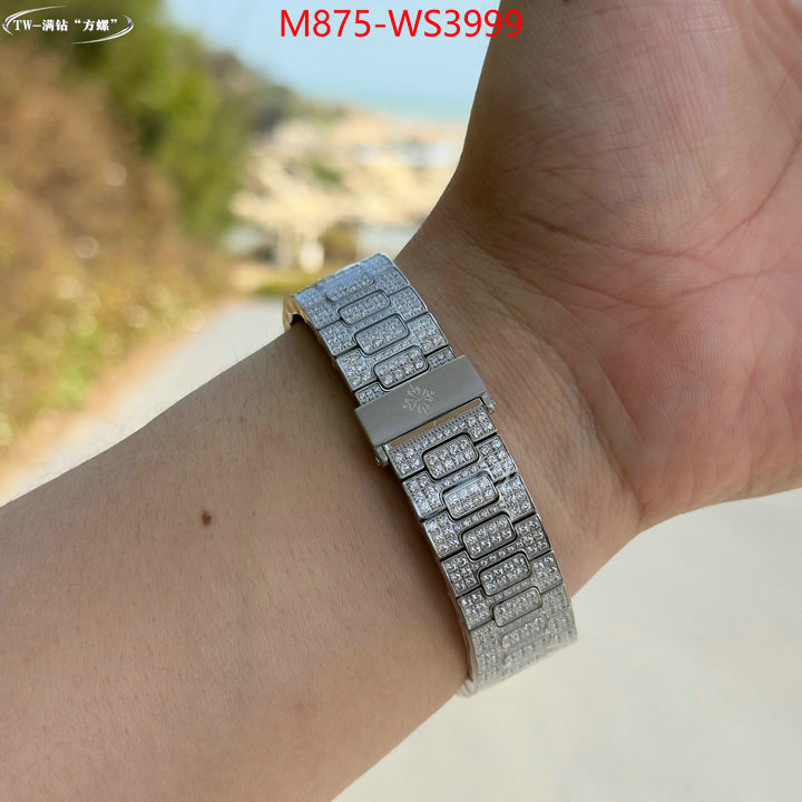 ID: WS3999