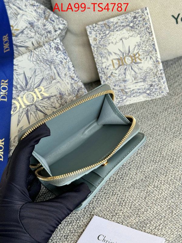 ID: TS4787 $: 99USD,