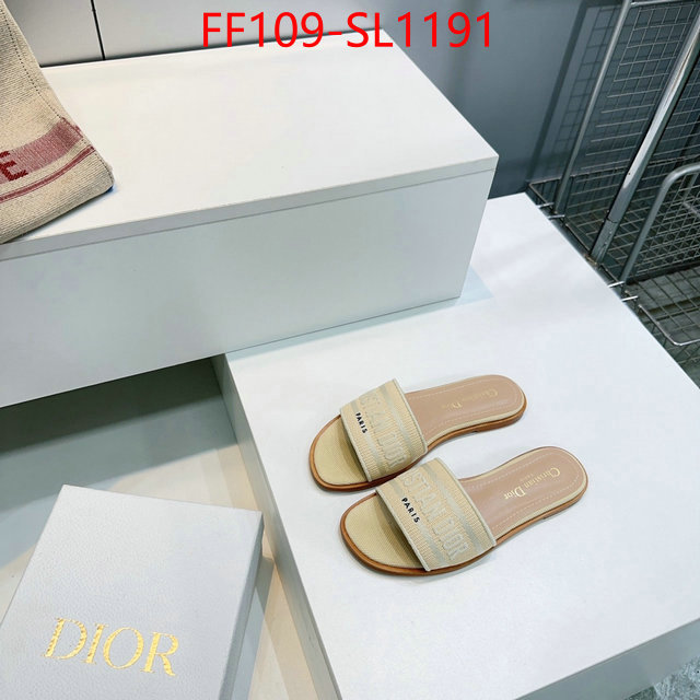 Women Shoes-Dior where to buy high quality ID: SL1191 $: 109USD