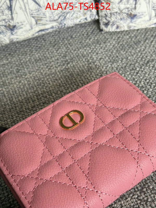 ID: TS4852 $: 75USD,