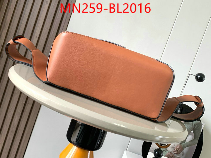 Loewe Bags(TOP)-Crossbody- ID: BL2016 $: 259USD,