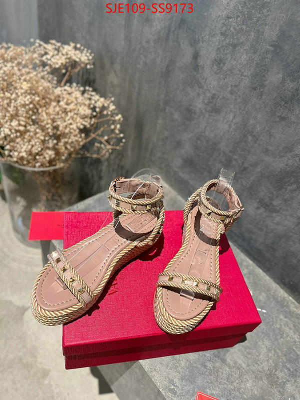 Women Shoes-Valentino buy online ID: SS9173 $: 109USD