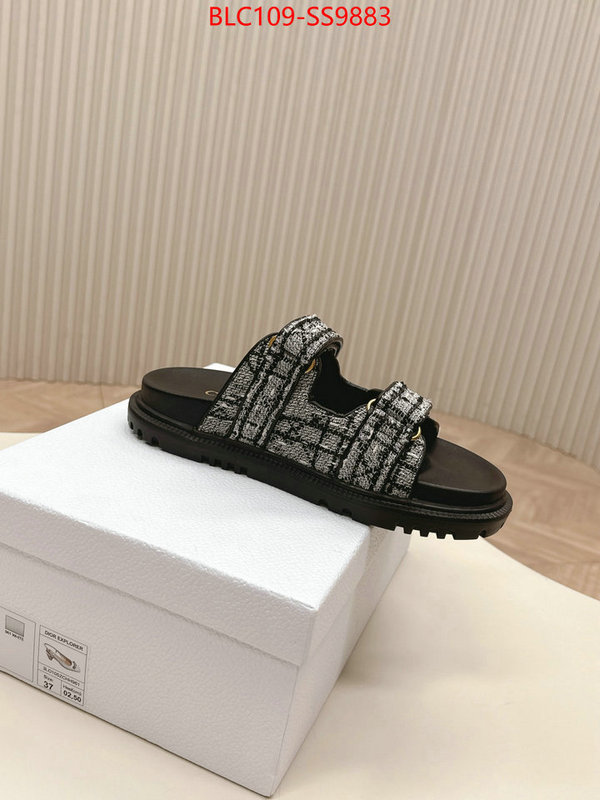 Women Shoes-Dior for sale online ID: SS9883 $: 109USD