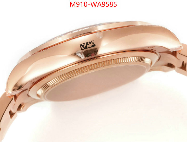 ID: WA9585