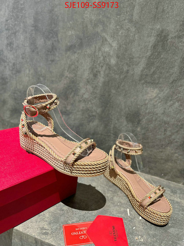 Women Shoes-Valentino buy online ID: SS9173 $: 109USD