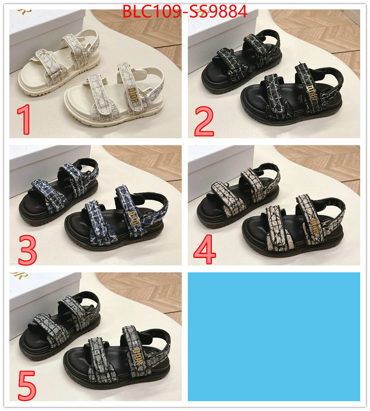 Women Shoes-Dior wholesale 2024 replica ID: SS9884 $: 109USD