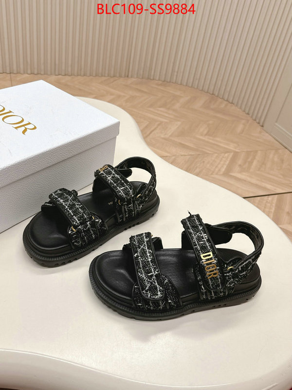 Women Shoes-Dior wholesale 2024 replica ID: SS9884 $: 109USD