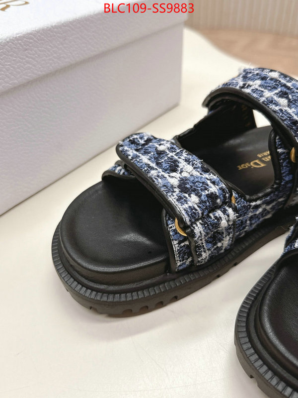 Women Shoes-Dior for sale online ID: SS9883 $: 109USD