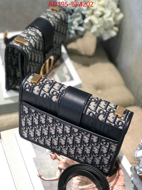 ID: BP4202 $: 195USD,