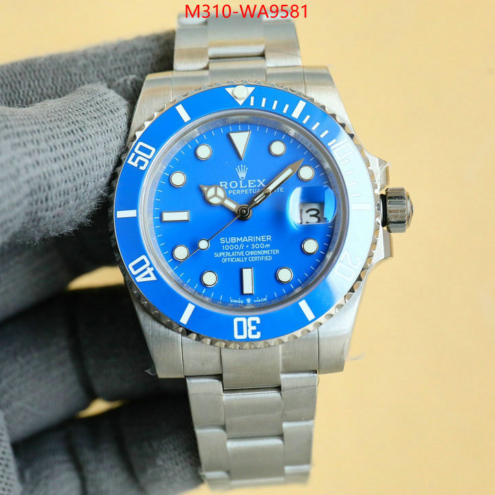 ID: WA9581