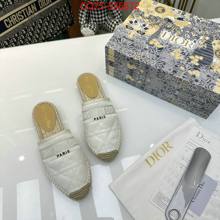 what is a counter quality ID: SS6872