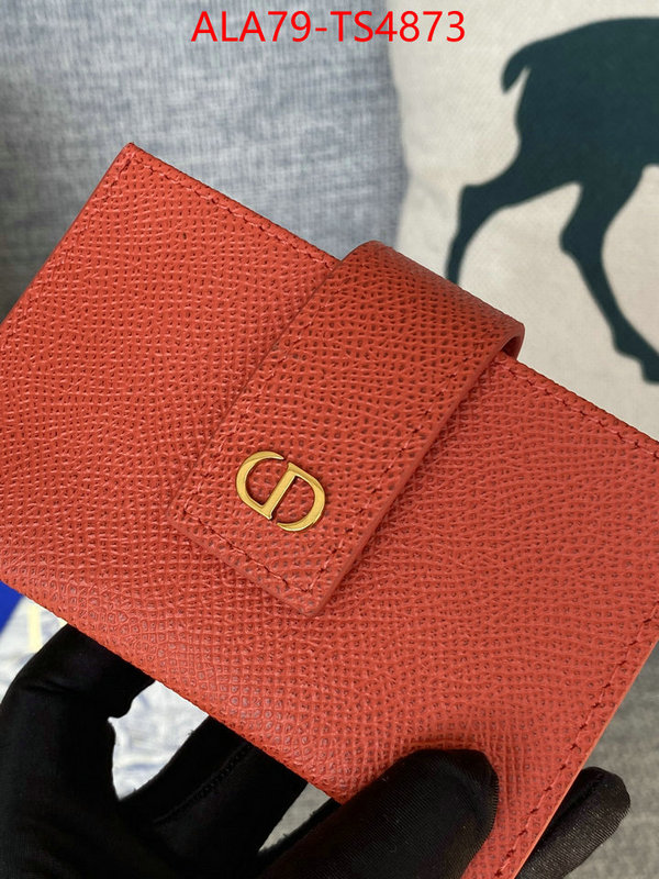ID: TS4873 $: 79USD,