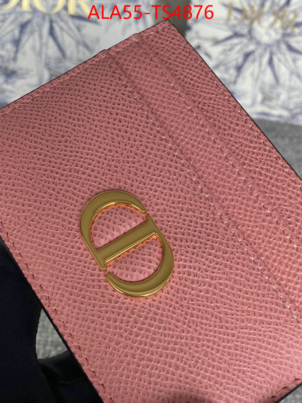 ID: TS4876 $: 55USD,