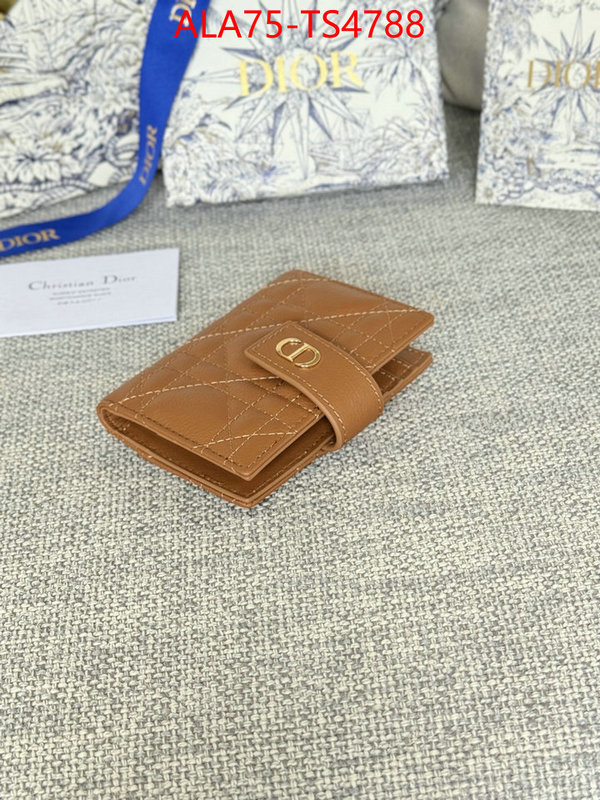 ID: TS4788 $: 75USD,